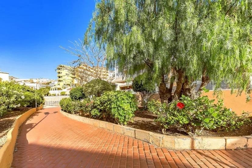 Tenerifeopenhome Costa Adeje Comfort Apartment 3 Pools Exteriér fotografie